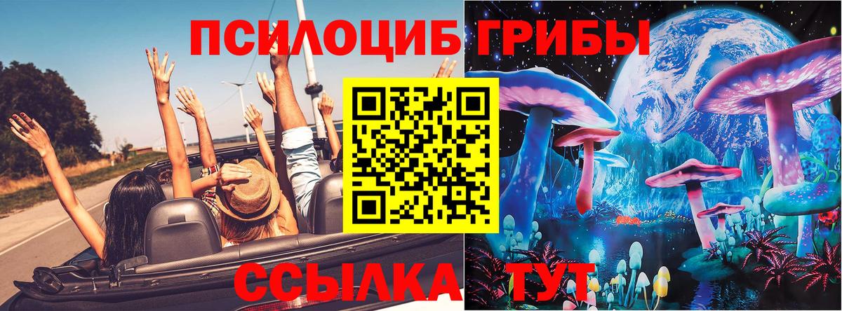 Галлюциногенные грибы ЛСД Гусев