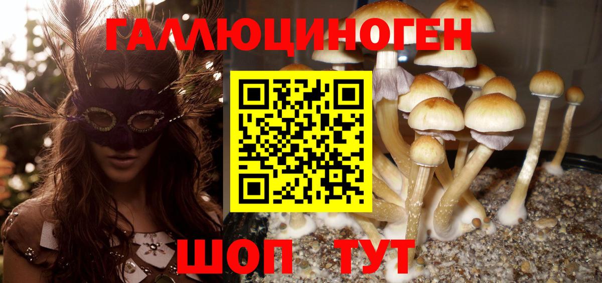 Псилоцибиновые грибы Psilocybine cubensis  Вход с VPN  Гусев 